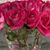 Maria Caboverde's profile image