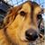 'Carol Higgins Davis's profile image