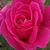 Leanne Freeman's profile image