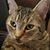 Stephanie Neurer's profile image