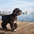 Sue Nelson's profile image