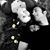 Bernadette Keck's profile image