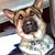 Anna Moore Smith's profile image