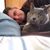 Jeremy Behnke's profile image