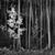 John E. van Duyl's profile image