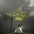 Theresa Schreiber Zwieg's profile image