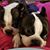 Suzanne Watts's profile image