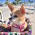 Susanna Torres's profile image