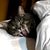 Judith Margaret's profile image