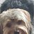 Dee Martin's profile image