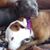 Nancy A. Sheffield's profile image