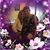 Susan Costello's profile image