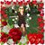 Lisa Powley-Dunn's profile image
