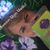 Lornadoone Gardner Myers's profile image