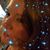 Bonnie Dotson's profile image