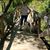 Jennifer Cotten Gamboa's profile image