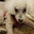 Linda McNair's profile image