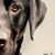 Tim Osking's profile image