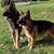Thomas R. Emmons's profile image