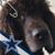 Reese Johnson's profile image