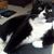 Karen Lefler Henry's profile image