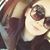 Heather Leigh's profile image
