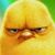 Debbie Noriega's profile image