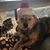Amy Nemecek Castonguay's profile image