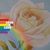 Christy Haley's profile image