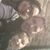 Javier Campos's profile image