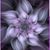 Jen Podkin's profile image
