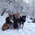 Michael Kanner's profile image