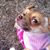 Patricia Marshall's profile image