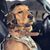 Isaias Irizarry's profile image