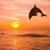Debi Grossman's profile image