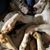 Judy King Elber's profile image