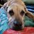 Evie Williams's profile image