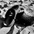 Richard Batten's profile image
