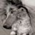 Satendra Rawat's profile image