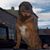 Maddox Ernest Livingston's profile image