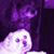 Kim Bradshaw's profile image