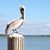Kim Kalepp's profile image