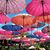 Lucia Palma's profile image