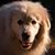 Marc Beaulac's profile image