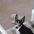 Joyce Clark's profile image