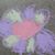 Rachel S.'s profile image