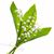 Chris Lamrock-Johnson's profile image