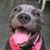 Deb Hoppock's profile image