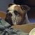 Nancy Wraith Wells's profile image