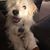 Debbie Wilson Waggoner's profile image